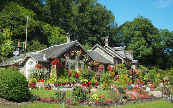 Gardening, Landscaping & Tree Trimming services and verified providers